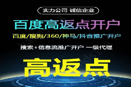 网络推广竞价策略案例分析